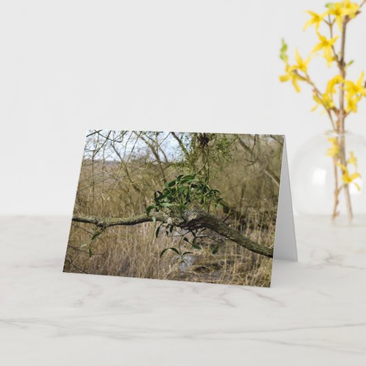 Mistletoe Karte (Gelbe Blume)