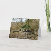 Mistletoe Karte (Vorderseite)
