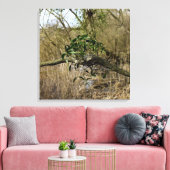 Mistletoe Leinwanddruck (Insitu (Wohnzimmer))