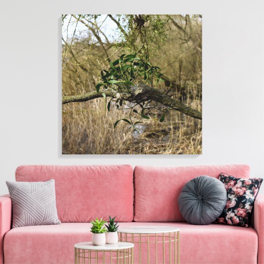Mistletoe Leinwanddruck (Insitu (Wohnzimmer))