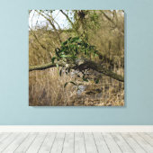Mistletoe Leinwanddruck (Insitu (Holzboden))