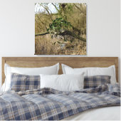 Mistletoe Leinwanddruck (Insitu (Schlafzimmer))