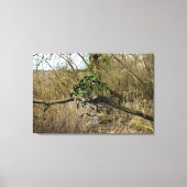 Mistletoe Leinwanddruck (Vorderseite)