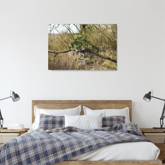 Mistletoe Leinwanddruck (Insitu (Schlafzimmer))