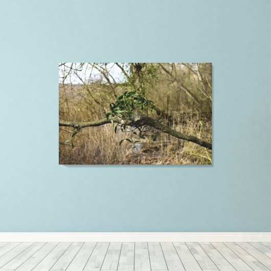 Mistletoe Leinwanddruck (Insitu (Holzboden))