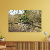Mistletoe Leinwanddruck (Insitu (Wohnzimmer))