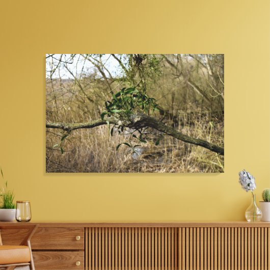 Mistletoe Leinwanddruck (Insitu (Wohnzimmer))