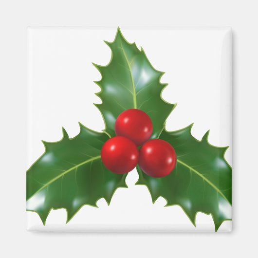 Mistletoe Magnet (Vorne)