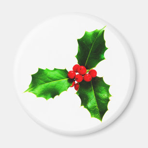 Mistletoe Magnet