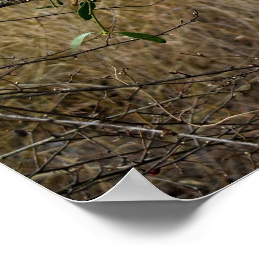 Mistletoe Poster (Ecke)