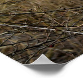 Mistletoe Poster (Ecke)