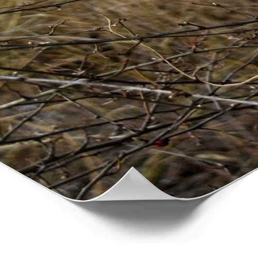 Mistletoe Poster (Ecke)