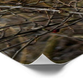 Mistletoe Poster (Ecke)