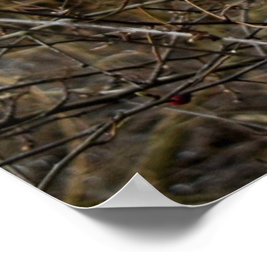 Mistletoe Poster (Ecke)