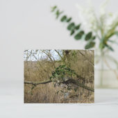 Mistletoe Postkarte (Stehend Vorderseite)