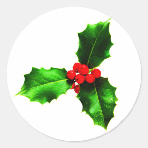 Mistletoe Runder Aufkleber