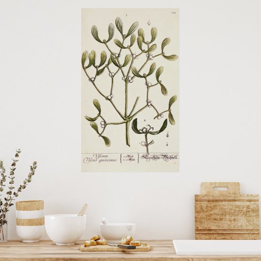 Mistletoe von 'A Curious Herbal', 1782 Poster (Küche)