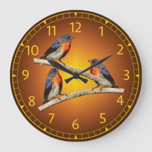 Mistletoebird, Blumenspecht, Australien, Indonesie Große Wanduhr