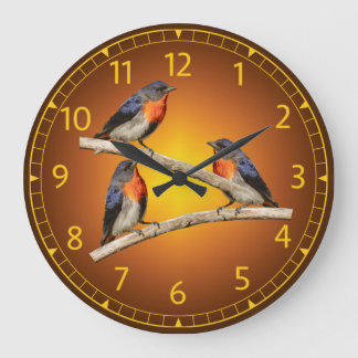 Mistletoebird, Blumenspecht, Australien, Indonesie Große Wanduhr