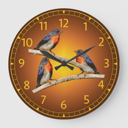 Mistletoebird, Blumenspecht, Australien, Indonesie Große Wanduhr (Vorderseite)