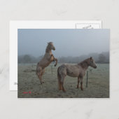 Mistral Postkarte (Vorne/Hinten)