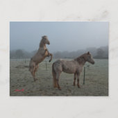 Mistral Postkarte (Vorderseite)