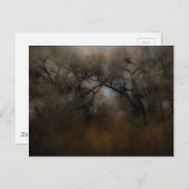 Misty Cottonwoods Postkarte (Vorne/Hinten)