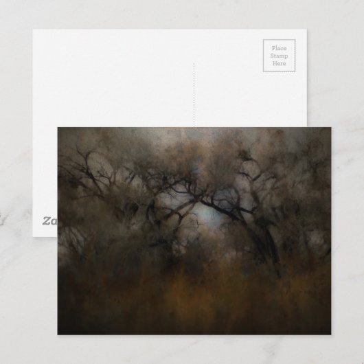 Misty Cottonwoods Postkarte (Vorne/Hinten)