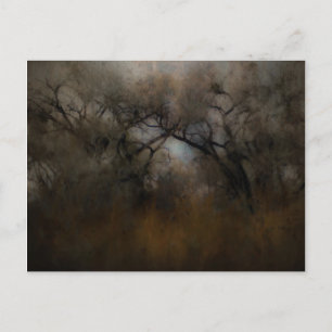 Misty Cottonwoods Postkarte