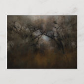 Misty Cottonwoods Postkarte (Vorderseite)