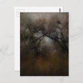 Misty Cottonwoods Postkarte (Vorne/Hinten)