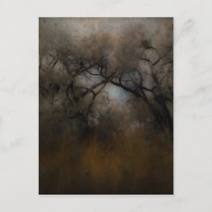 Misty Cottonwoods Postkarte