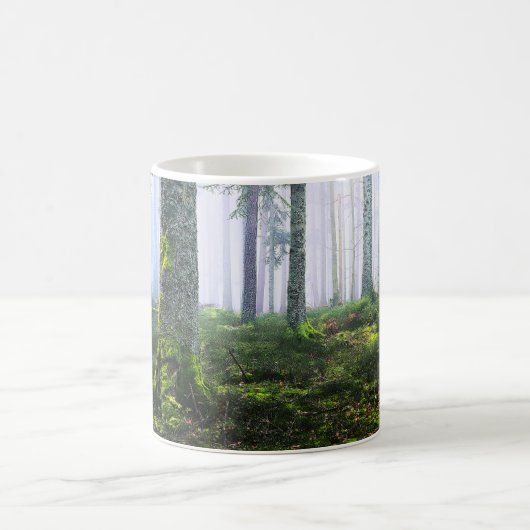 Misty Dawn Forest Photo Kaffeetasse (Mittel)