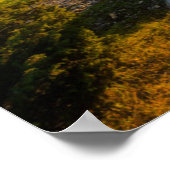 Misty Dawn in a Forest Poster (Ecke)