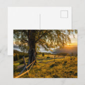 Misty Dawn in einem Wald Postkarte (Vorne/Hinten)