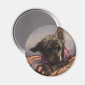 Misty der Pudel Magnet (Vorderseite/Rückseite)