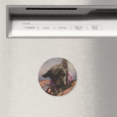 Misty der Pudel Magnet (In Situ (Geschirrspüler))
