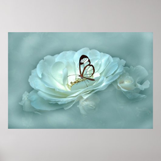 MISTY DREAMS POSTER (Vorne)