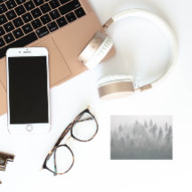 Misty Evergreen Forest Landscape