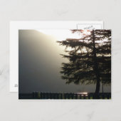 Misty Fir Tree at Shasta Dam Postcard Postkarte (Vorne/Hinten)