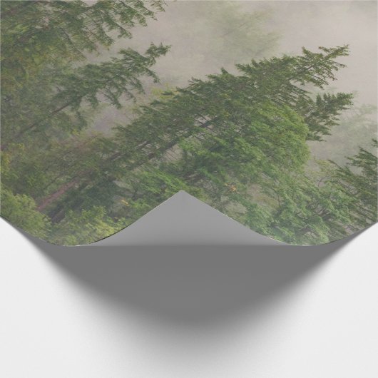 Misty Foggy Forest Trees Geschenkpapier (Ecke)