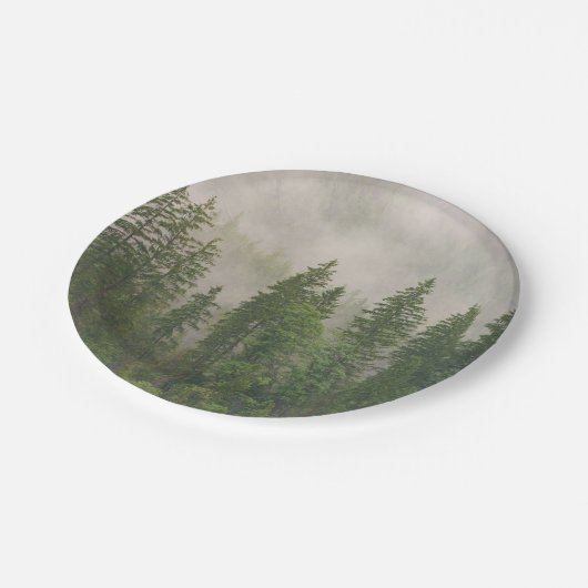 Misty Foggy Forest Trees Pappteller (Schrägansicht)