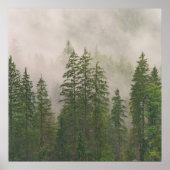 Misty Foggy Forest Trees Poster (Vorne)