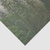 Misty Foggy Forest Trees Seidenpapier (Detail)