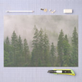 Misty Foggy Forest Trees Seidenpapier (Handwerk)