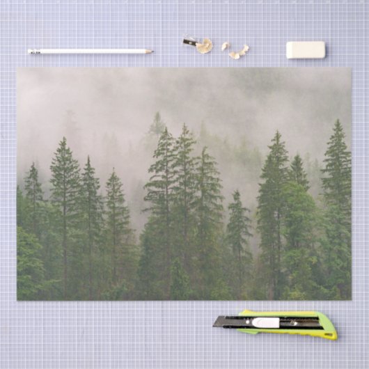Misty Foggy Forest Trees Seidenpapier (Handwerk)