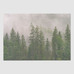 Misty Foggy Forest Trees Seidenpapier