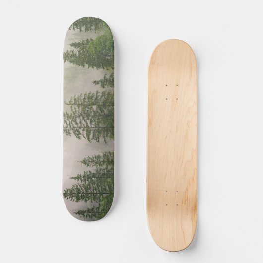 Misty Foggy Forest Trees Skateboard (Vorderseite)