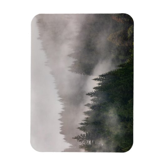 Misty Forest in den Bergen Magnet (Vertikal)