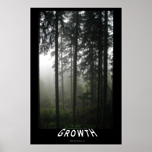 Misty Forest Motivierend Foto Print Poster (Vorne)